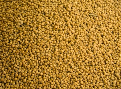 Animal nutrition. Mineral applications and uses. Minerals and fillers.